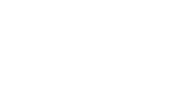 Asset 1