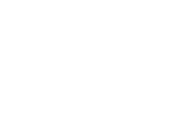 Asset 17